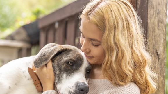 5 медицински състояния, които засягат и хората, и кучетата