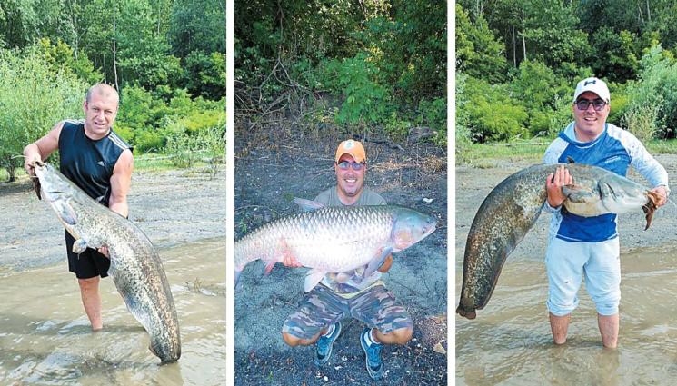 Рибари - Рибари хванаха 45 кила сом