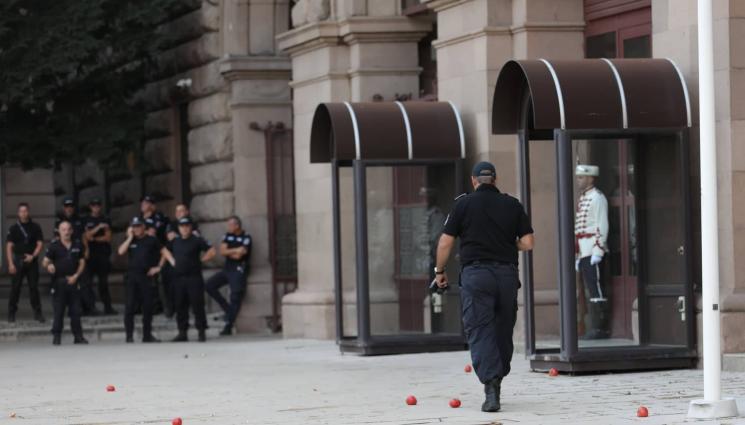 протест президентство - МАНДЖА ПРЕД ПРЕЗИДЕНТСТВОТО: По