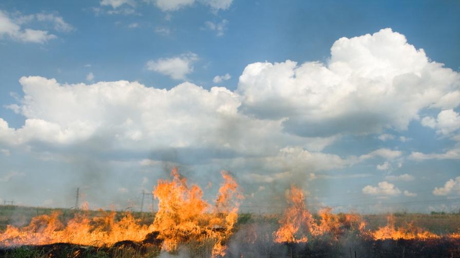 Пожар изпепели 600 дка пшеница в Тервелско