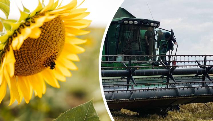 агро - Агро Телеграф: Дъждове и градушки заплашват реколтата