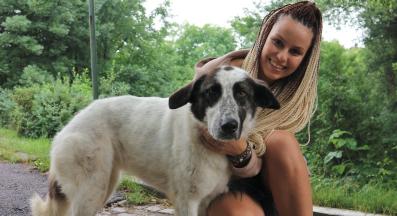 бездомно куче