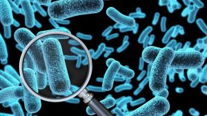 Научно откритие показва как бактериите се връщат към живота съобщава