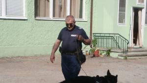 следово куче Арчи деца Търговище