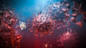 215 нови случая на коронавирус са били регистрирани през последното