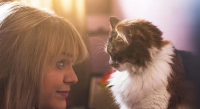 Котка стопанин