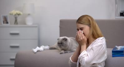 Жена алергия котка