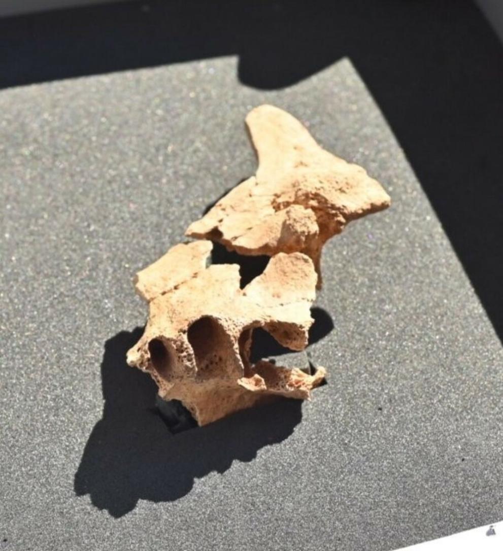  античен човек 