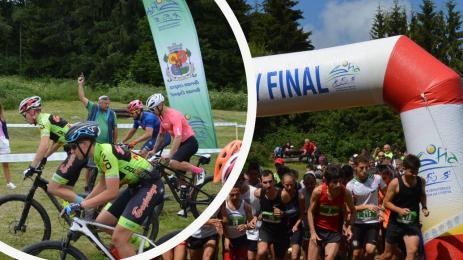 Витоша летен фест