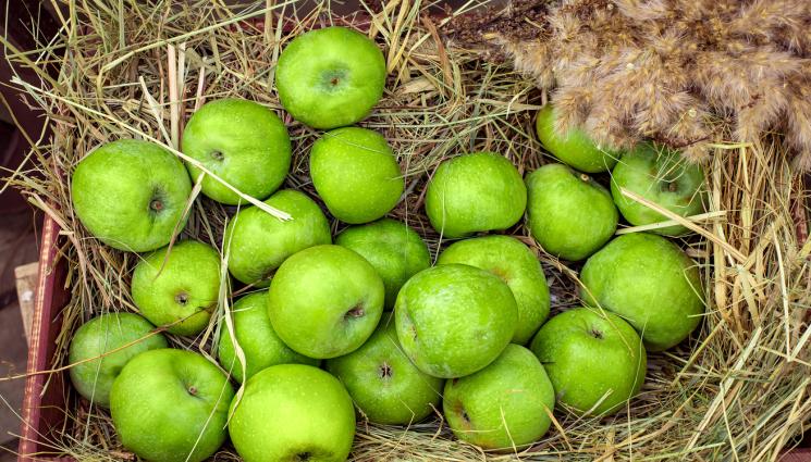 ябълки сено