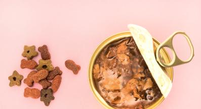 котешка храна