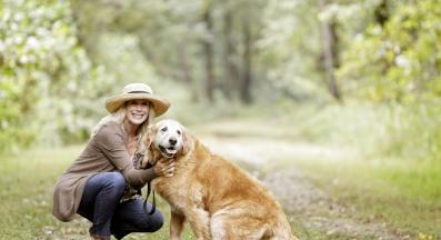 възрастно куче