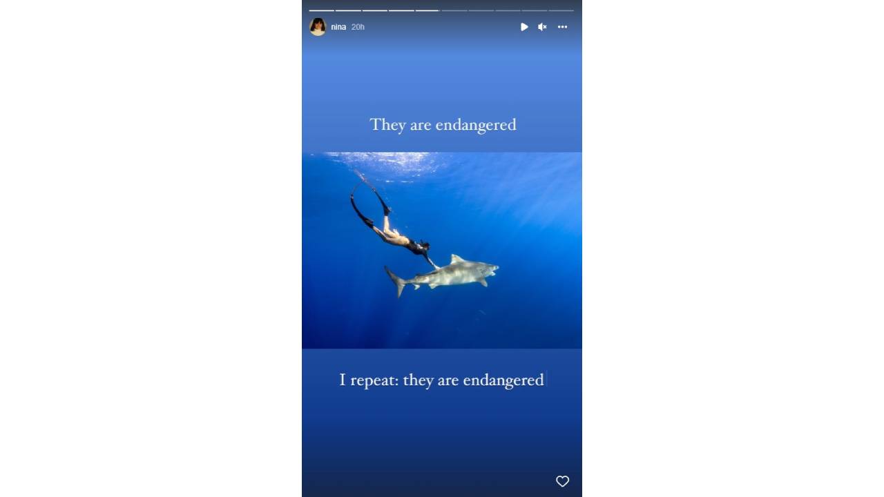 Нина Добрев акули