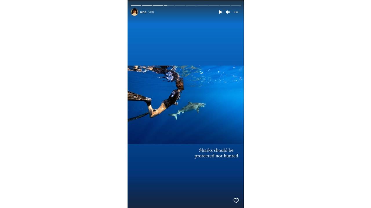 Нина Добрев акули