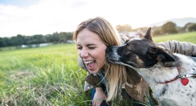 куче и човек