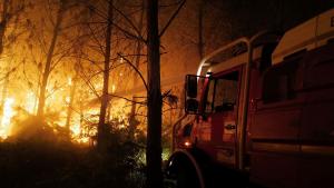 Горски пожари бушуват от вчера в Югозападна Франция предаде Ройтерс