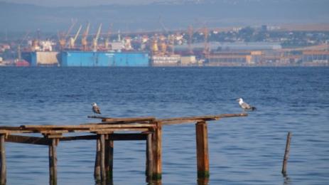 Варна езеро замърсяване