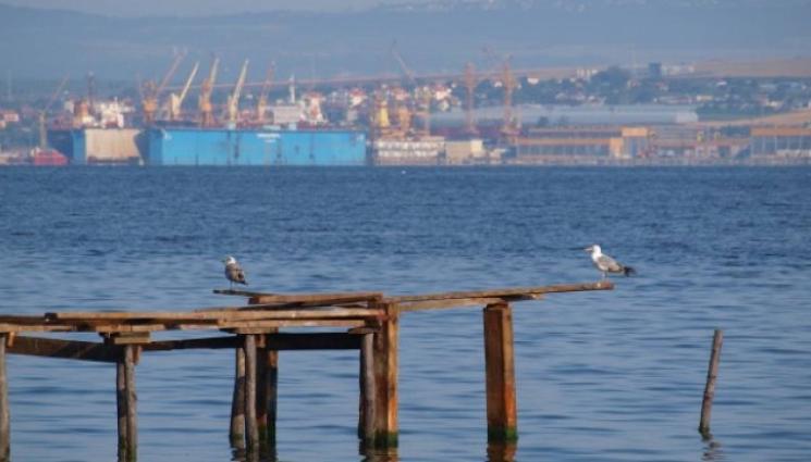 Варна езеро замърсяване - Откриха мазно петно във Варненското езеро