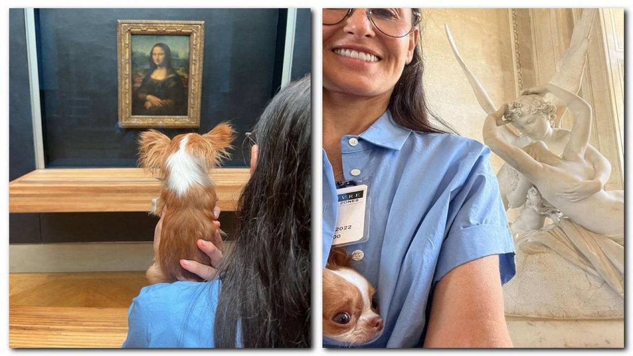 деми мур куче