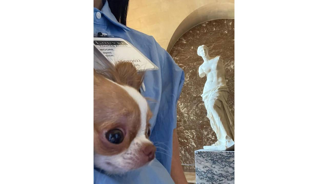 деми мур куче