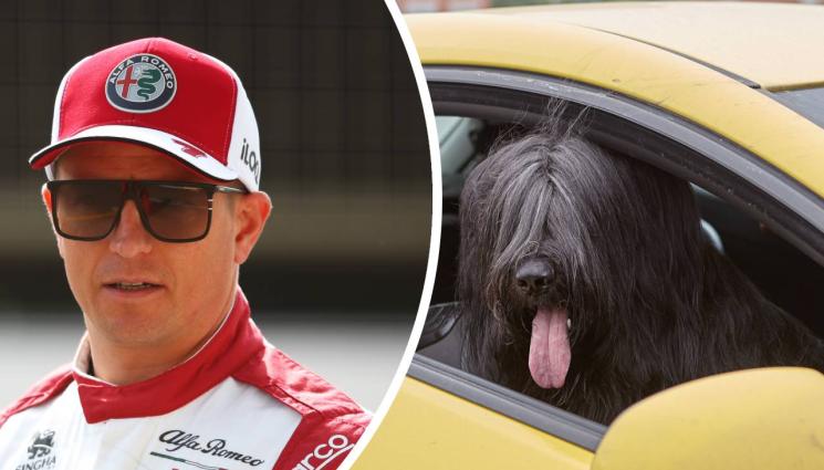 Кими Райконен - Кими напои прежадняло куче, затворено в автомобил (ВИДЕО)