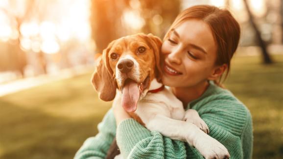 5 начина да направим кучето си щастливо