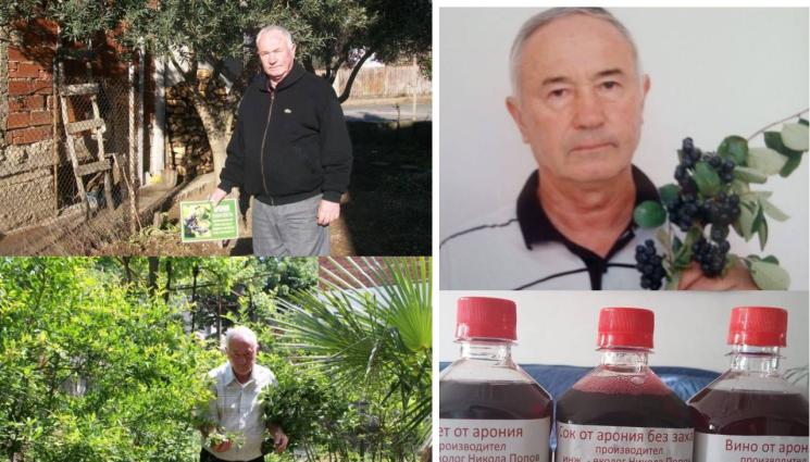 Бай Кольо - В ОЧИТЕ: Бай Кольо - Царя на аронията