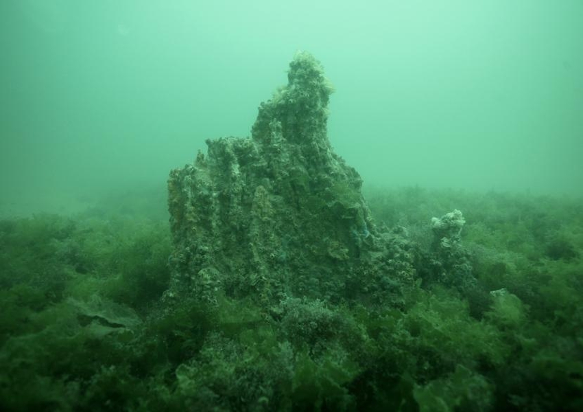 подводна гора