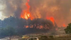 Голям пожар пламна в гориста местност край Казанлък Пожарът е на