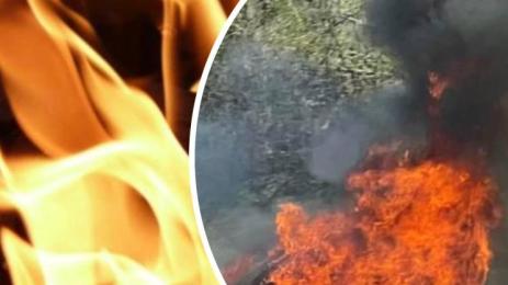 горски пожар