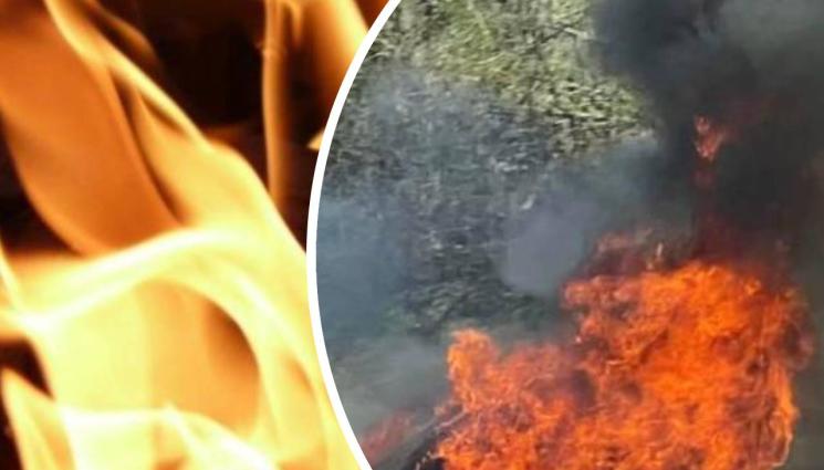 горски пожар - ОПАСНОСТ: 55 горски пожара избухнаха за месец