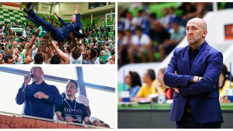 Небойша Видич