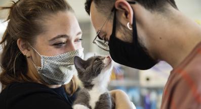 Котка и хора