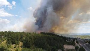 Пожарът край Казанлък отново се разрази заради силния вятър който е сменил