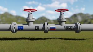 Делът на внесения руски газ в България е 61 3 процента