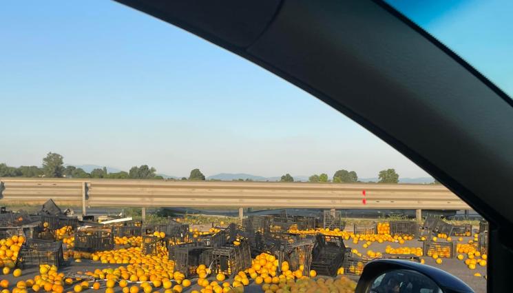 портокали - Фреш от портокал се ля на изхода на София (СНИМКИ+ВИДЕО)