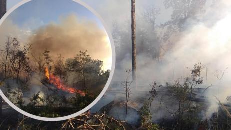 пожар пловдив