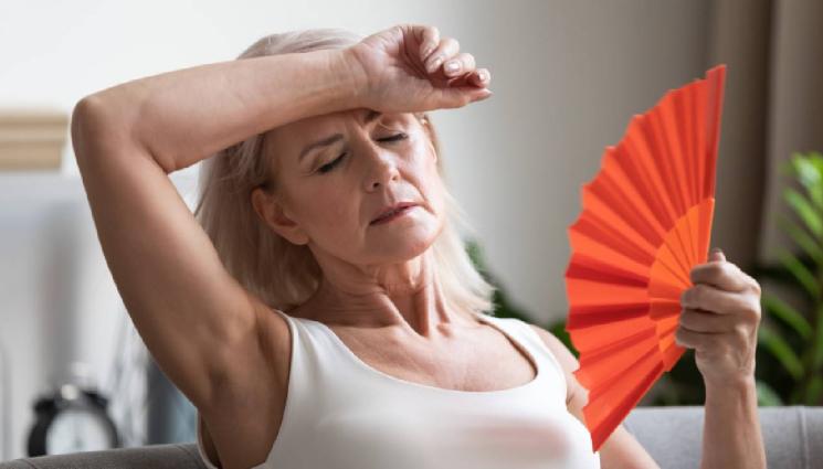 жега жени възрастни - ЗЛАТНО ВРЕМЕ: НЕ ВИ ПОНАСЯТ ЖЕГИТЕ... Ето няколко съвета, с които да ги преборите!