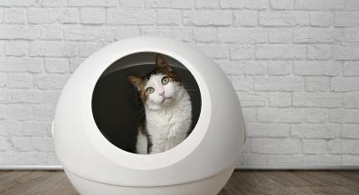 Котешка тоалетна