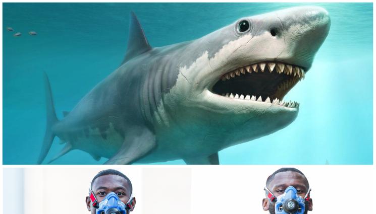 Акула - Акули атакуват Реал при турне в САЩ. Заради мениджър измамник Кралския клуб играе извън закона в Ню Йорк