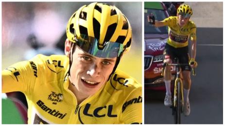 Вингегор Отакам