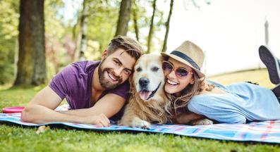 двойка куче