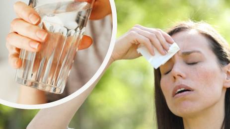 жега топлинен удар