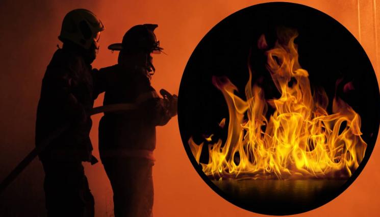 пожар - ОГНЕН АД: Пожарът  край Белоградчик глътнал 15 000 декара