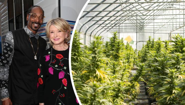 Снуп Дог - Снуп Дог вдъхновил Марта Стюарт за плантация с марихуана