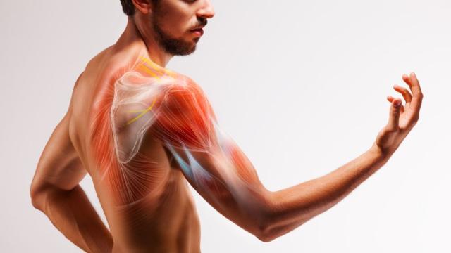 Силата на захвата може да покаже колко добре и колко дълго ще живеем