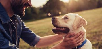 Как кучетата са станали най-добри приятели на хората