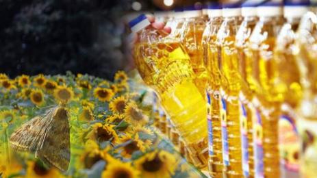 слънчоглед олио перепуда