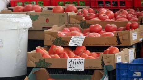 домати цена