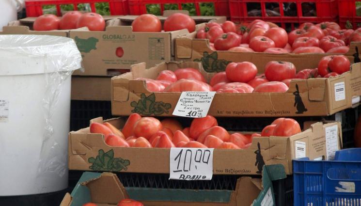 домати цена - Агро Телеграф: Прекупвачи надуват тройно цената на домата